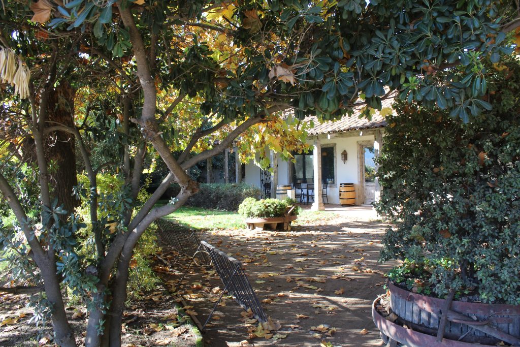 チリワインの主要産地、コルチャグア・ヴァレーにあるワイナリーの風景。