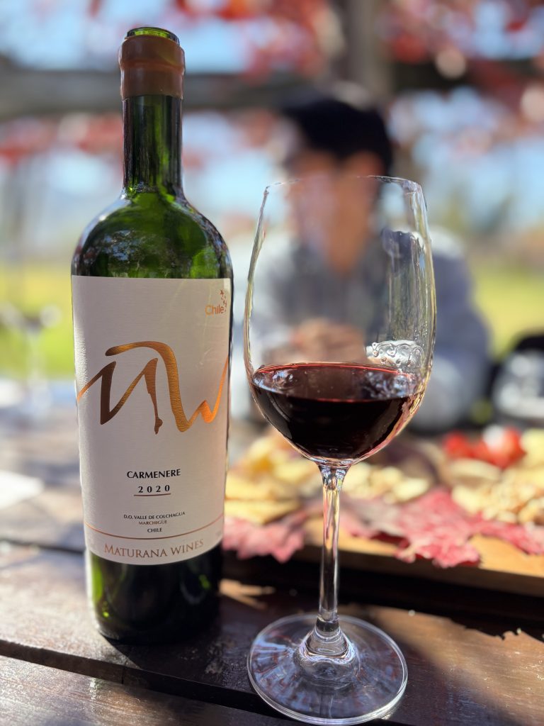 Vinitoおすすめのカルメネール、Maturana Wines Carmenereのボトル