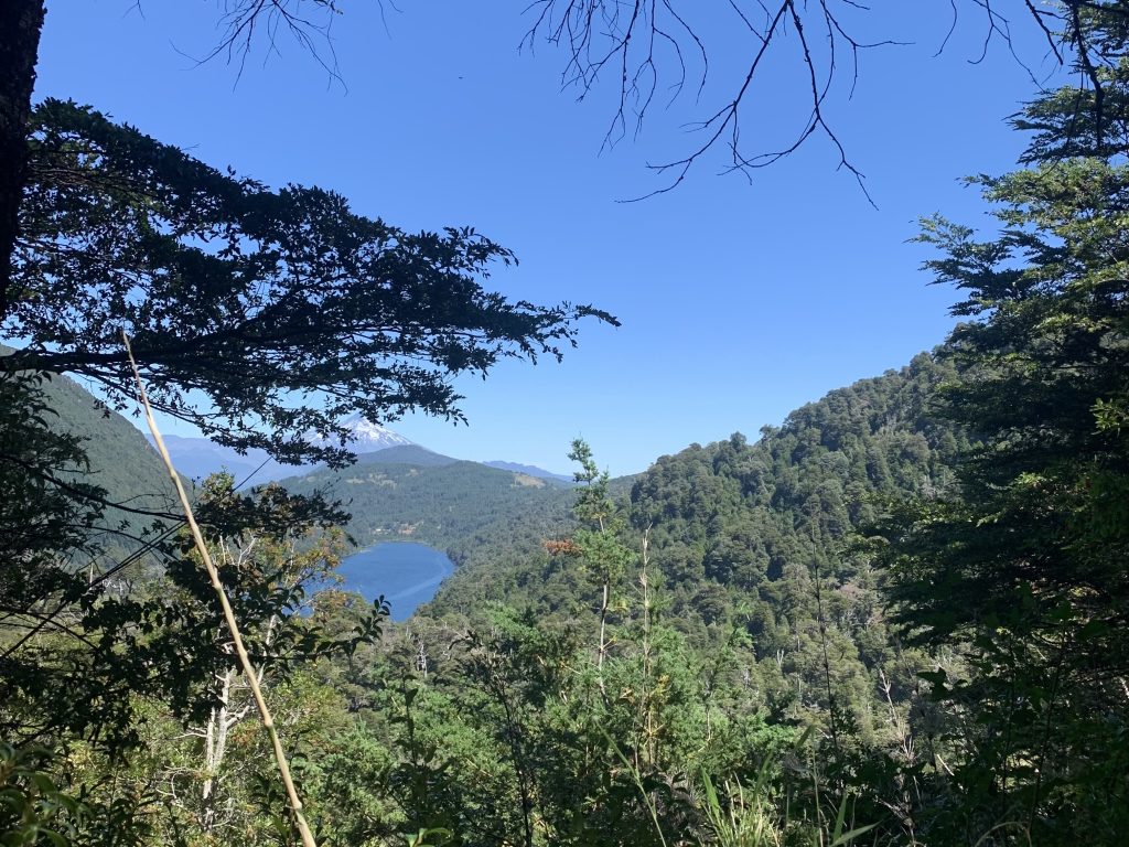カウティン・ヴァレーがあるアラウカニア州の風景