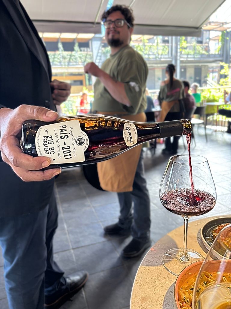 Garage Wine CoのパイスのワインであるSingle Ferment Series