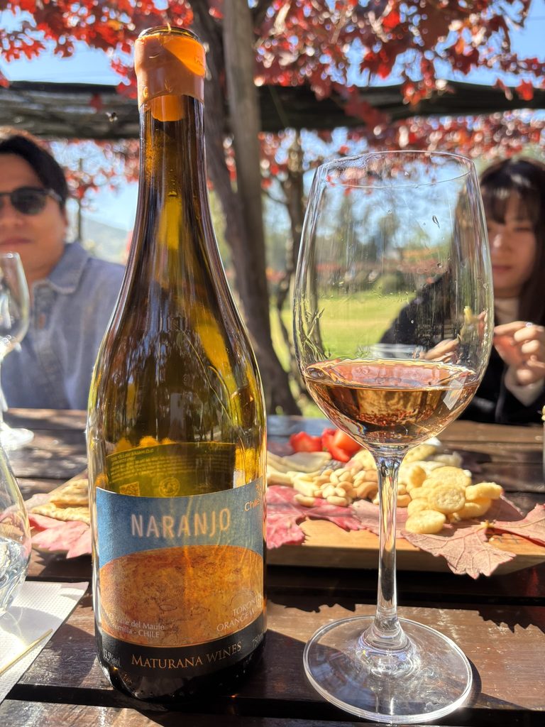 Maturana WinesによるチリのオレンジワインNaranjo
